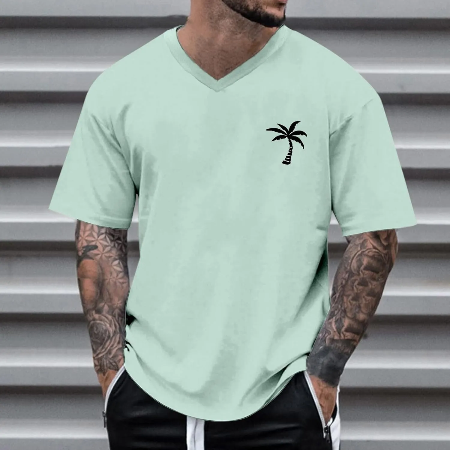 Big and Tall Men's Graphic Tee Tops Hawaii Coconut Printed V Neck Short Sleeve Casual Summer T Shirts Regular Fit