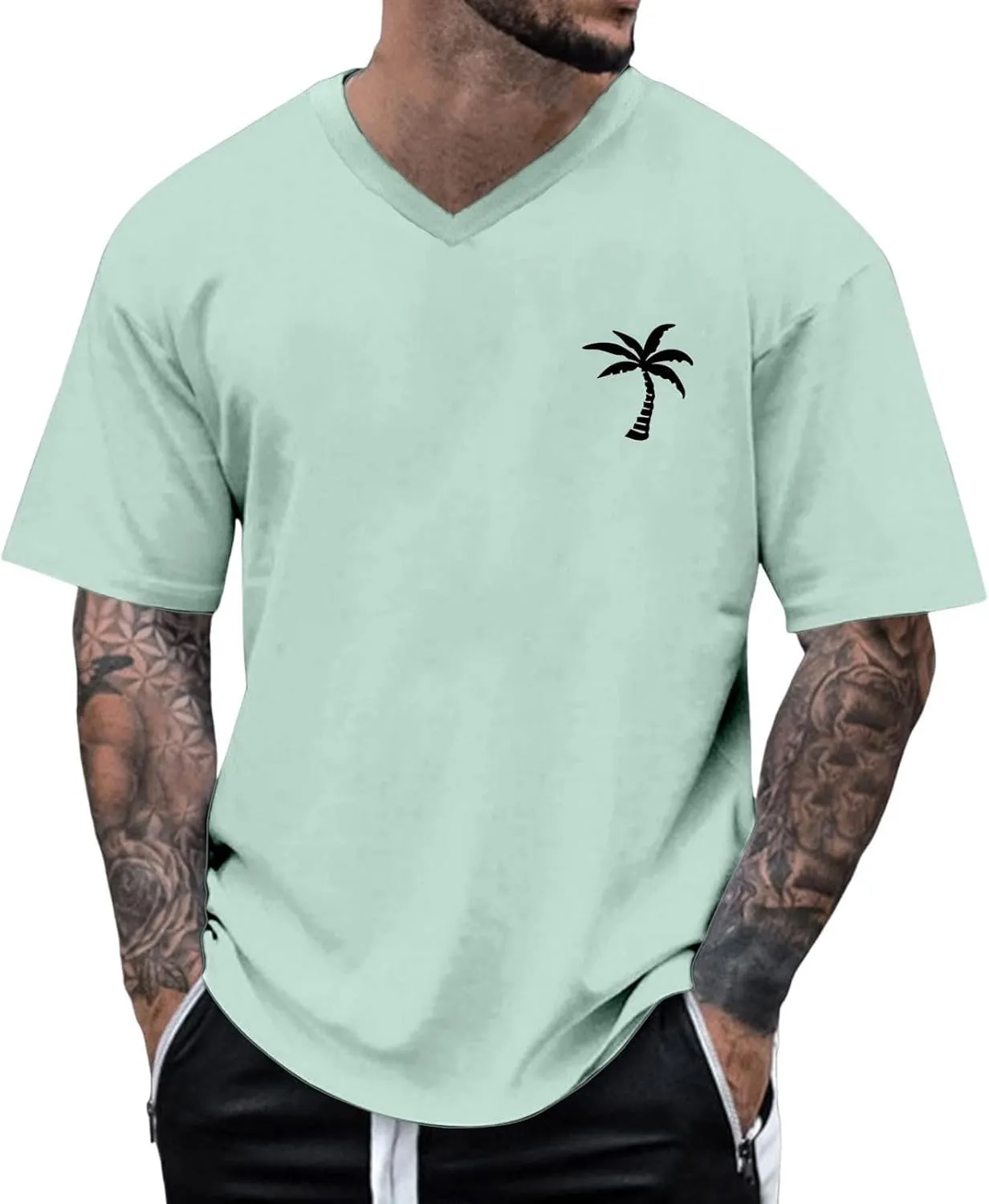 Big and Tall Men's Graphic Tee Tops Hawaii Coconut Printed V Neck Short Sleeve Casual Summer T Shirts Regular Fit