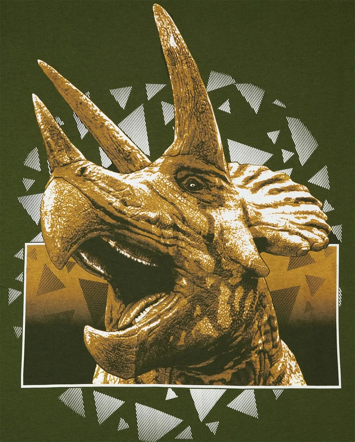 The Children's Place Boys' Dino Long Sleeve Graphic T-Shirts