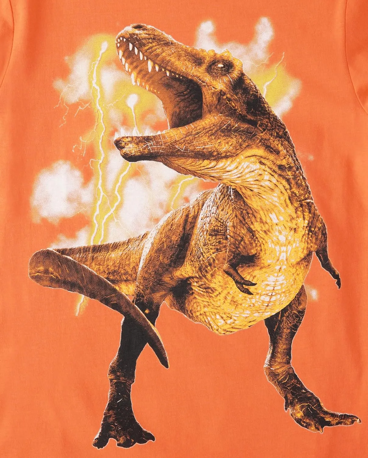 The Children's Place Boys' Dino Long Sleeve Graphic T-Shirts